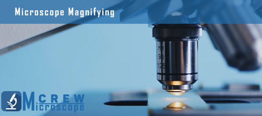 Microscope-Magnifying