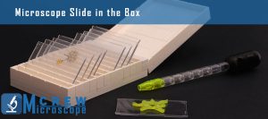 Types of Microscope Slides - Microscope Crew