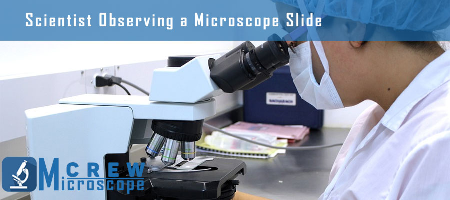 Scientist-Observing-a-Microscope-Slide