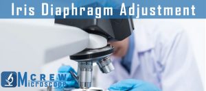 Iris-Diaphragm-Adjustment