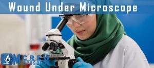 wound-under-microscope