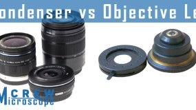 Condenser-Lens-Vs.-Objective-Lens