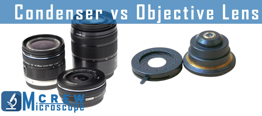 Condenser-Lens-Vs.-Objective-Lens