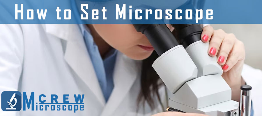 How-to-Set-Microscope