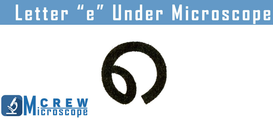 Letter-“e”-Under-Microscope