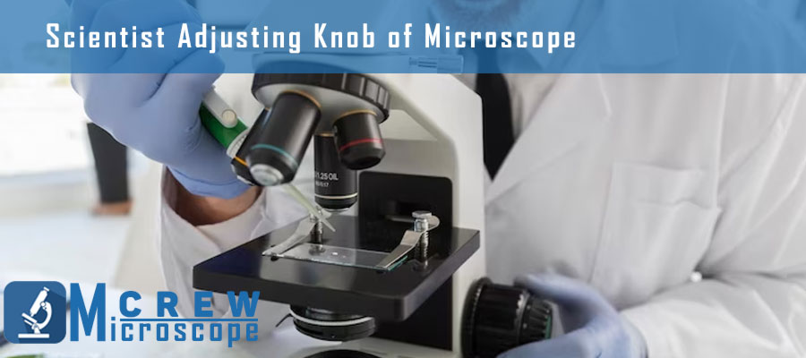 Scientist-Adjusting-Knob-of-Microscope