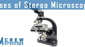 Uses-of-Stereo-Microscope