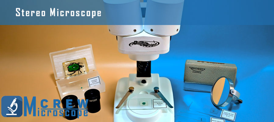 stereo-microscope