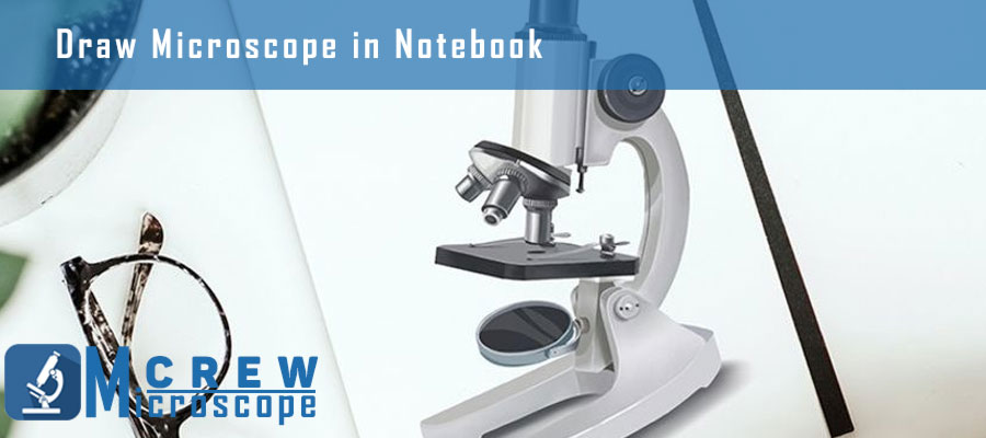 Draw-Microscope-in-Notebook