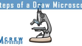 Steps-of-a-Draw-Microscope