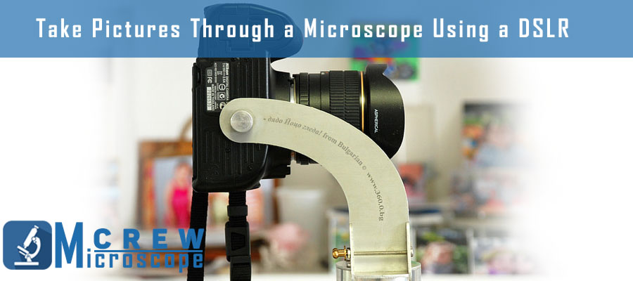 Take-Pictures-Through-a-Microscope-Using-a-DSLR