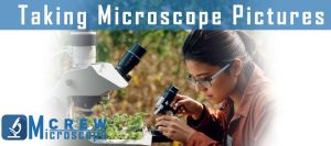 Taking-Microscope-Pictures