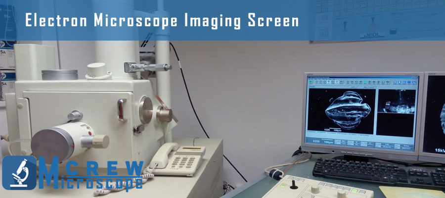 Electron-Microscope-Imaging-Screen