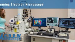 Scanning-Electron-Microscope